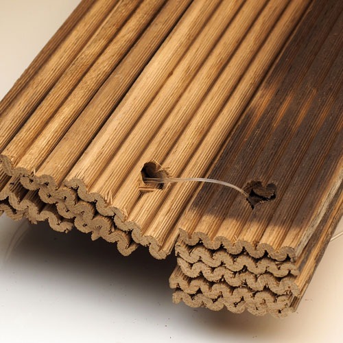 Quercus eco-impact staves are environmentally-friendly and cost-saving